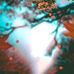 Christina Joly - Facebook