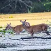christinakeefer77 - @christinakeefer77 - TikTok