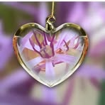 Christina Kipp - Facebook