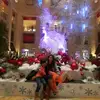 Christina Ku - @christina.ku2 - TikTok