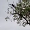 Christina Pkummer - @christina.pkummer - TikTok