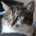 Christine Laforge - @ecole45150 - Instagram