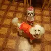 christinamalcolm75 - @christinamalcolm75 - TikTok