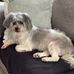 Christine Malcolm - Facebook