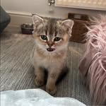 Christina Marsh - @christina.marsh.75 - Instagram
