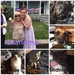 Christina McNulty - @chrisina1999 - Instagram