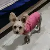 Christina Olvera Avila - @christina.olvera8 - TikTok