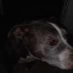 Christina Plummer - @chri.stin7568 - Instagram