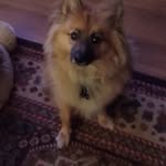 Christine Setzer - @setzer_christine - Instagram