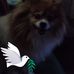 Christine Setzer - Facebook
