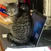 Christina Todd577 - @christinatodd577 - TikTok