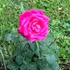 christina weaver - @christina.weaver6 - TikTok