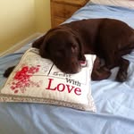 Christine Whaley - @christinewhaley66 - Instagram