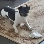 Christina Wick - @barfenmitplan - Instagram
