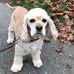 Christina Widner - Facebook