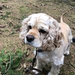 Christina Widner - @frokenwidner - Instagram