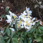 Christine Widner - @christine.widner.39 - Instagram