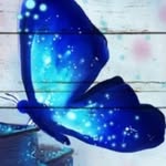 Christine Widner - @christinewidner - Instagram