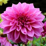 Christina Winchell - Facebook