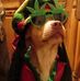 Christina Witherow - Facebook