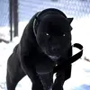 Christina Witherow - @christina.withero - TikTok