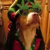 Christina Witherow - @christina.withero7 - TikTok