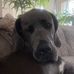 Christine Abbott - Facebook
