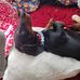 Christine Abbott - Facebook