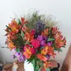 Christine Abbott - @christine.abbott - TikTok