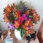 Christine Abbott - @abbottmrs - Instagram