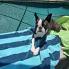 Christine Alter Murray - @christine.alter.m - TikTok