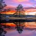 Christine Androsch - Facebook