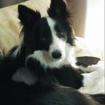 Christine Archer - @christine.archer.754570 - Instagram