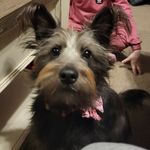 Christine Ayers - @christineayers - Instagram