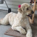 Christine Ayers - @ayers_christine - Instagram