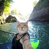 Christine Ayers - @christineayers_2327 - TikTok