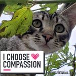 Christine Beard - @christine.beard.75 - Instagram