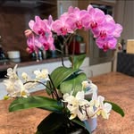 Christine Begin - @christine.begin54 - Instagram