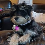 Christine Benjamin - @christine.benjamin.77 - Instagram