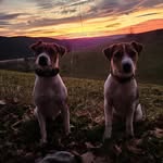 Christine Bernhardt - @christine.bernhardt.754 - Instagram