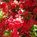 Christine Blaylock - Facebook