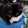 Christine B - @christine.bostick - TikTok