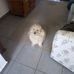 Christine Bourne - Facebook