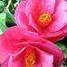 Christine Bourne - Facebook