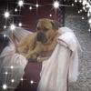 christinebourne05 - @christinebourne05 - TikTok