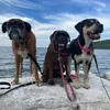 christine_daycare - @christine_boxers - TikTok