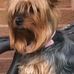 Christine Bryson - Facebook