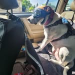 Christine Peters Bunch - @bunchchristine9 - Instagram