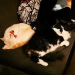 Christine Raine Bunch - @little_miss_mystra - Instagram