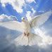 Christine Burnside - Facebook